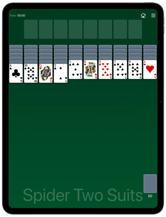 Spider Two Suits Solitaire board layout
